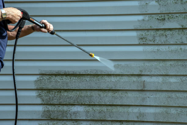 Best Driveway Pressure Washing  in Aviston, IL